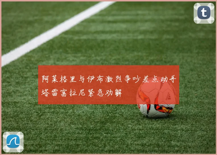 阿莱格里与伊布激烈争吵差点动手塔雷富拉尼紧急劝解